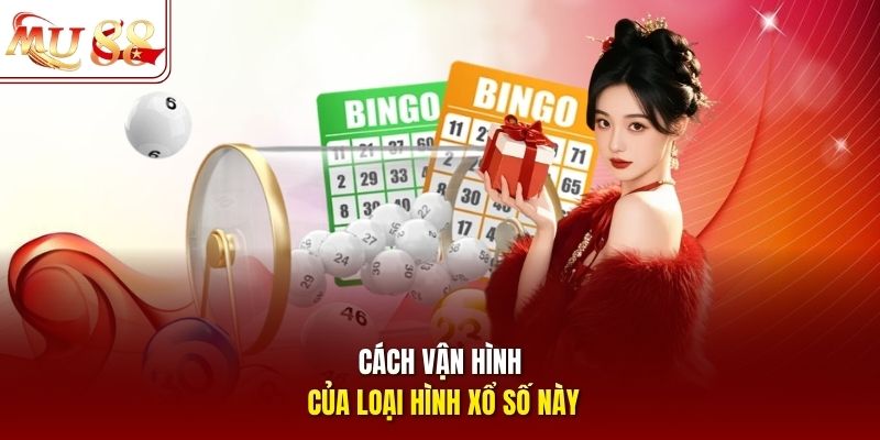 Cách vận hình của loại hình xổ số này Cách vận hành của loại hình xổ số này